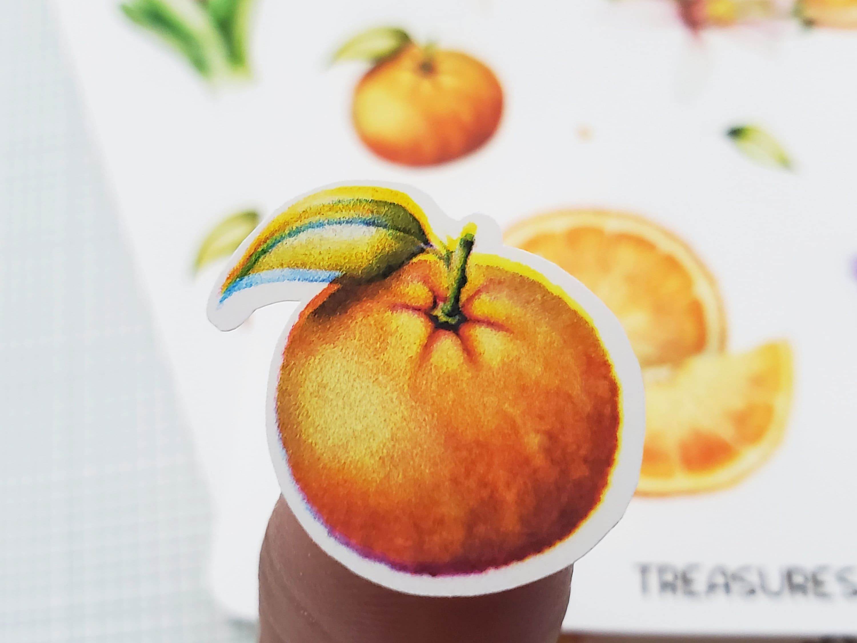 Oranges Sticker Sheet Orange Stickers Citrus Fruit Sticker | Etsy