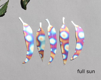 Edelstahl fleckig farbiges dekoratives Eukalyptusblatt 5-teiliges Set