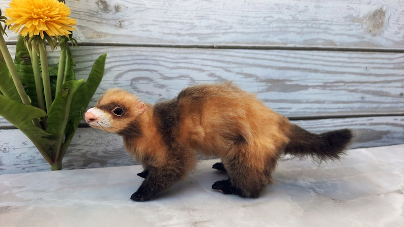Ferret Realistic Plush/dollhouse/pet Portrait/toy Poseable - Etsy
