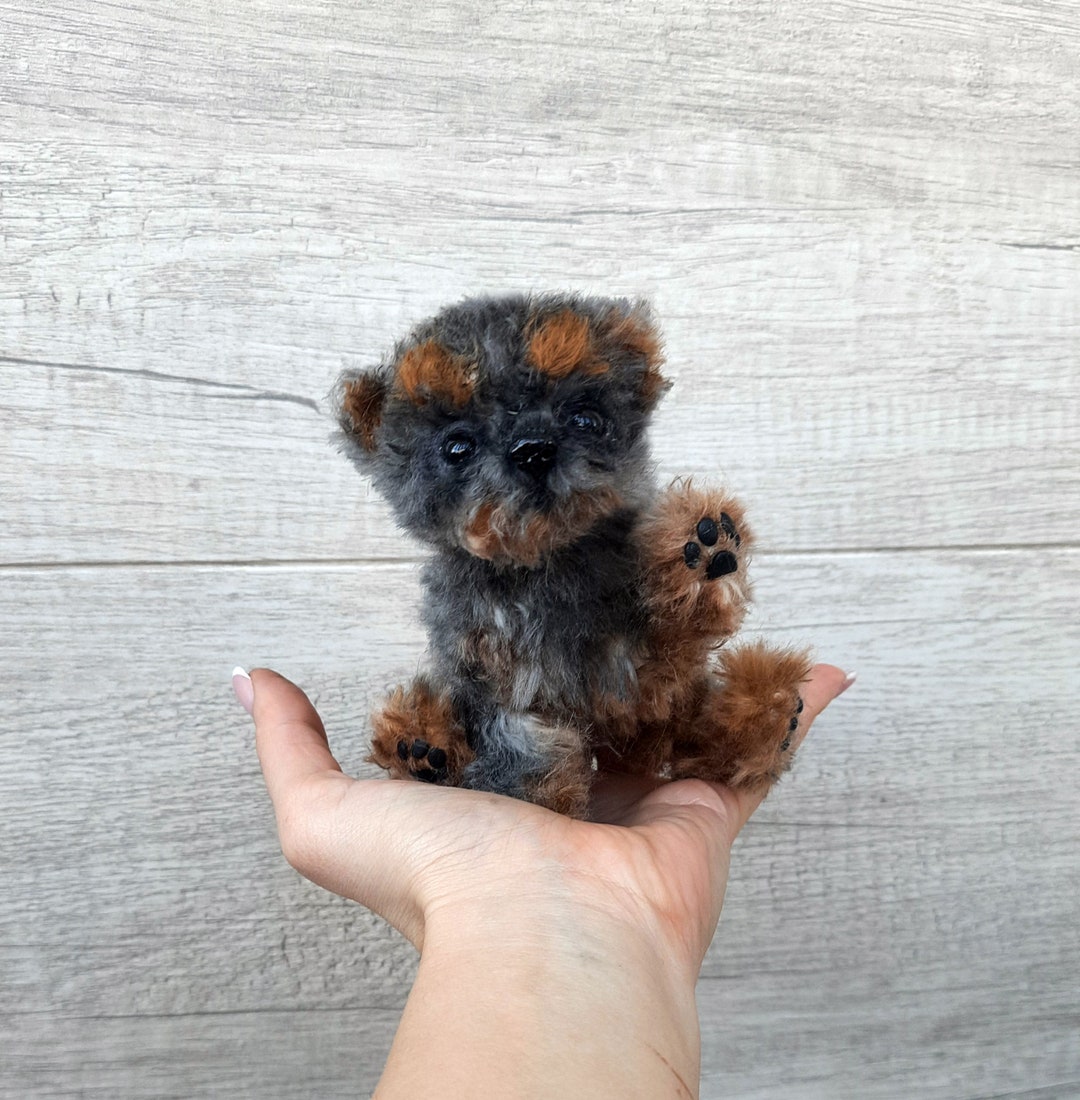 Puppies Yorkipoo Price Tiny Cute Yorkie Poo Puppies For Sale