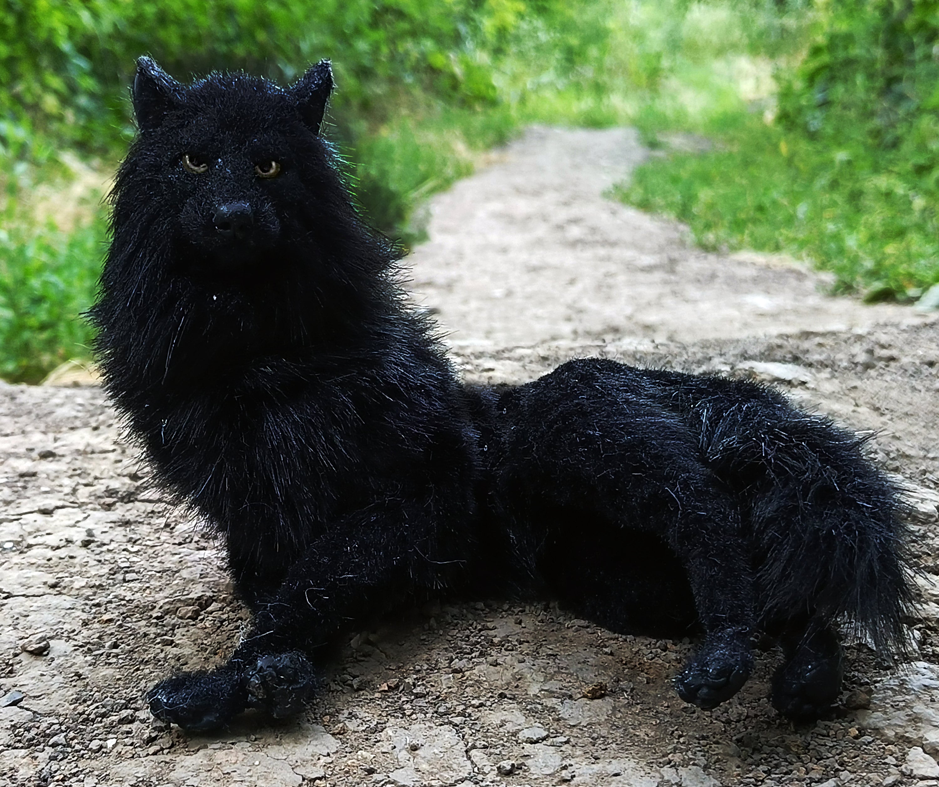 Wolf Black Plush Custom Art Doll Miniature Dog Stuffed Animals Etsy UK