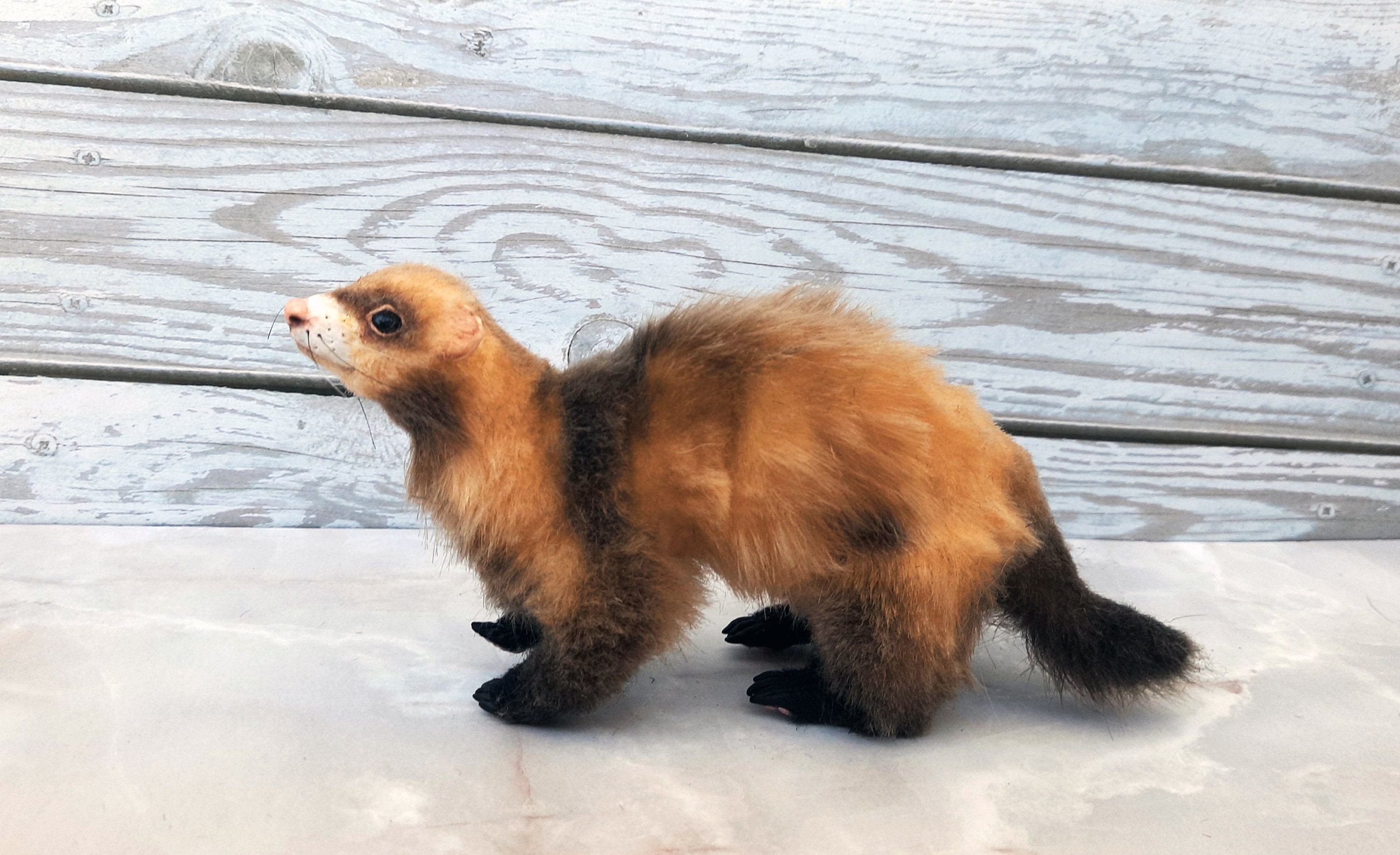 Ferret Realistic Plush/dollhouse/pet Portrait/toy Poseable - Etsy