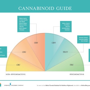 Guía de cannabinoides - Cartel de la infografía del cannabis medicinal