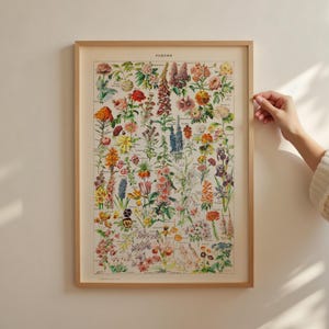 Bloemenposter – vintage Adolphe Millot Fleurs-print, botanische muurkunst, antieke bloemenkaart A2 50 x 70 18 x 24