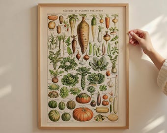 Vegetable Garden Poster – Vintage Adolphe Millot Print, Legumes & Plants Chart, Botanical Kitchen Art A2 50x70 18x24 24x36 70x100