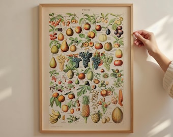 Reimpresión de frutas - colección de estampados vintage Adolphe Millot A2 50x70 18x24