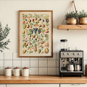 Affiche Fruits Vintage Adolphe Millot 1909 - Poster A2 Reprint Qualité Premium Encadrable