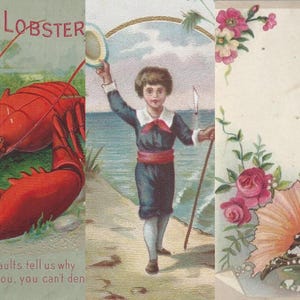 May include: A collection of vintage postcards. One features a red lobster with the text "I love you Lobster". Another shows a boy on a beach. The third postcard has floral arrangements and the name "Barbara Gischer".