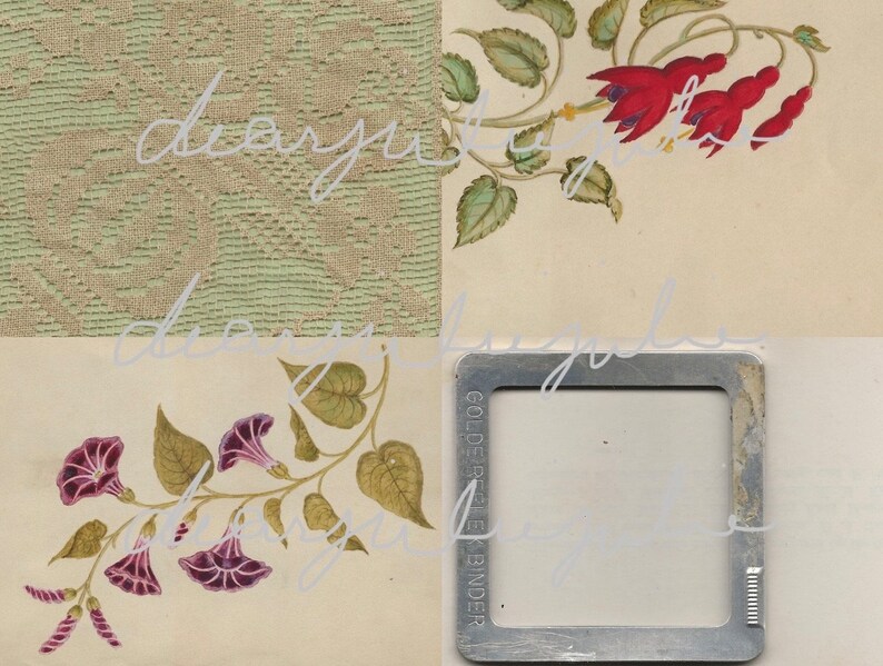 Digital Butterfly Garden journal pages & ephemera digital kit... images enhanced into beautiful images image 6