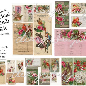 Digital Tropical 5 day collab digital ephemera kit Flamingos, parrots, shells, summer antique images journal ephemera digital kit image 7