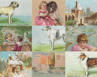 Digital - Pet Rescue journal pages & ephemera digital kit...  images enhanced into beautiful images, kids and pets