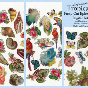 Digital - Tropical Fussy cut digital kit - Just Flamingos, Parrots, Feathers & Flowers ephemera digital kit,  junk journal kit, Flamingo,