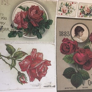 Digital Roses Roses ephemera digital kit ... Digital Antique Postcards & antique card images for Junk journals, cardmaking, scrapbooking image 5