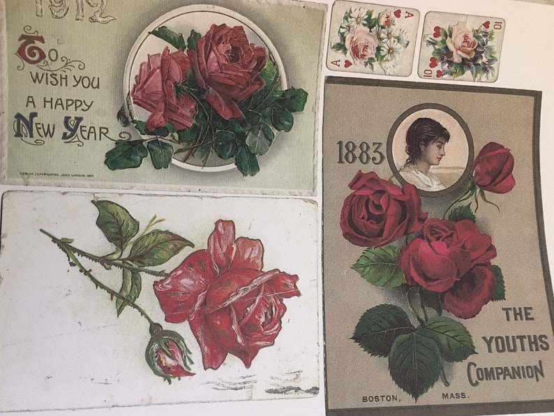 Digital Roses Roses ephemera digital kit ... Digital Antique Postcards & antique card images for Junk journals, cardmaking, scrapbooking image 5