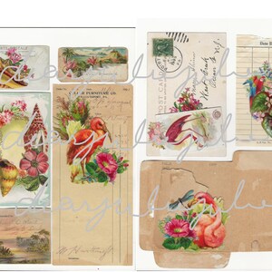 Digital Tropical 5 day collab digital ephemera kit Flamingos, parrots, shells, summer antique images journal ephemera digital kit image 3