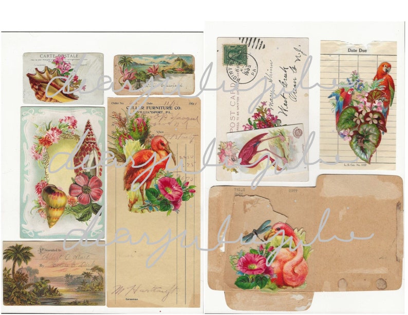 Digital Tropical 5 day collab digital ephemera kit Flamingos, parrots, shells, summer antique images journal ephemera digital kit image 3