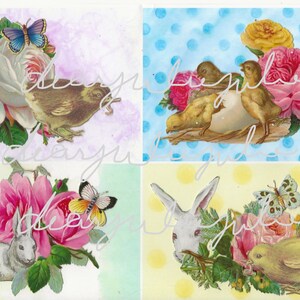 Puede incluir: Un collage de cuatro im&aacute;genes con ilustraciones de tem&aacute;tica primaveral. La imagen superior izquierda muestra un p&aacute;jaro marr&oacute;n posado sobre una rosa blanca con una mariposa azul. La imagen superior derecha muestra tres pollitos amarillos con un huevo blanco y rosas rosas. La imagen inferior izquierda muestra un conejo blanco con rosas rosas y una mariposa. La imagen inferior derecha muestra un pollito amarillo con rosas rosas y una mariposa.
