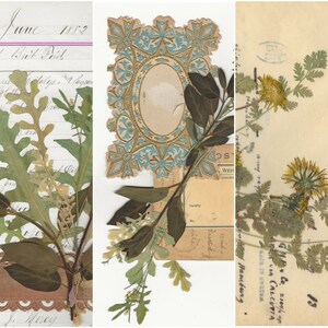 Digitale - Botanical Bases Pages & ephemera digital kit - diario, diario, rivista spazzatura