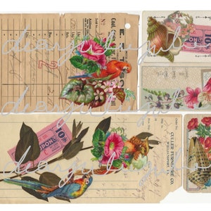 Digital Tropical 5 day collab digital ephemera kit Flamingos, parrots, shells, summer antique images journal ephemera digital kit image 5