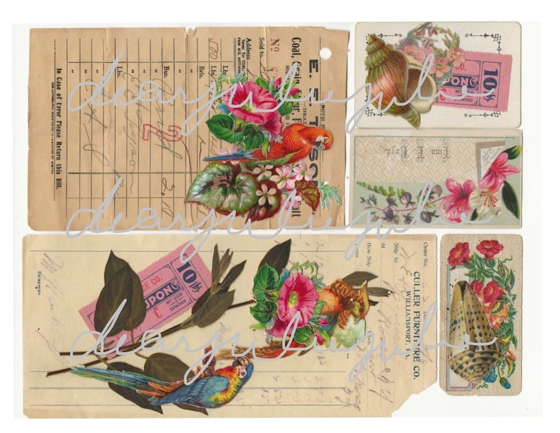 Digital Tropical 5 day collab digital ephemera kit Flamingos, parrots, shells, summer antique images journal ephemera digital kit image 5