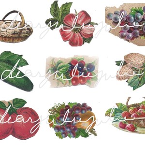 Digital Delux - Garden Veggies et Fruit digital kit.  Pages d’Antiquités numériques et éphémères pour les journaux Junk, la fabrication de cartes, la réservation de ferraille