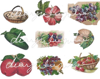 May include: A collection of vintage illustrations featuring various fruits and vegetables. Includes a basket of eggs, a red flower, grapes, a cucumber, cherries, strawberries, apples, more grapes, and a basket of strawberries.