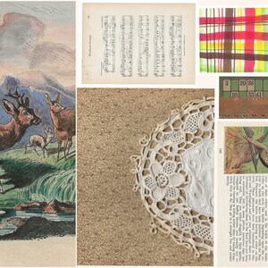 Peut inclure: Un collage d'images vintage comprenant une illustration aquarelle de cerfs dans une for&ecirc;t, une partition de musique, un tissu &agrave; carreaux, une carte de bingo, une dentelle crochet&eacute;e et une illustration vintage d'un faisan &agrave; collier avec du texte sur les caract&eacute;ristiques de l'oiseau.