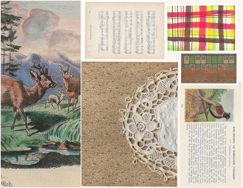Peut inclure: Un collage d'images vintage comprenant une illustration aquarelle de cerfs dans une for&ecirc;t, une partition de musique, un tissu &agrave; carreaux, une carte de bingo, une dentelle crochet&eacute;e et une illustration vintage d'un faisan &agrave; collier avec du texte sur les caract&eacute;ristiques de l'oiseau.