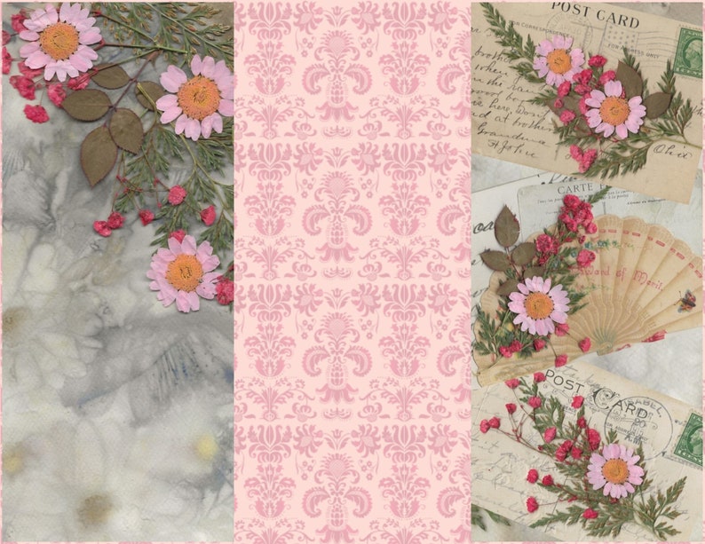 K&ouml;nnte beinhalten: Eine Collage aus drei Bildern mit gepressten Blumen und alten Postkarten. Das linke Bild zeigt rosa Blumen auf einem hellgrauen Hintergrund. Das mittlere Bild ist ein rosa-wei&szlig;es Damastmuster. Das rechte Bild zeigt rosa Blumen auf einer alten Postkarte mit dem Text "Post Card" und "Carte Postale".