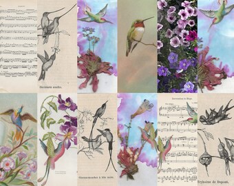 Hummingbird fancy pages & ephemera digital kit. Digital Antique Postcards and images,  Purple and blue, junk Journals diary