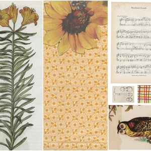 Peut inclure: Un collage d'images repr&eacute;sentant un tournesol jaune, une plante verte feuillue avec des fleurs jaunes, un tissu &agrave; motifs avec un design jaune et orange, une partition de musique intitul&eacute;e "Woodland Sounds", un tissu &agrave; carreaux avec des couleurs rouge, jaune et verte, et un dessin d'un hibou avec des plumes brunes, jaunes et noires.