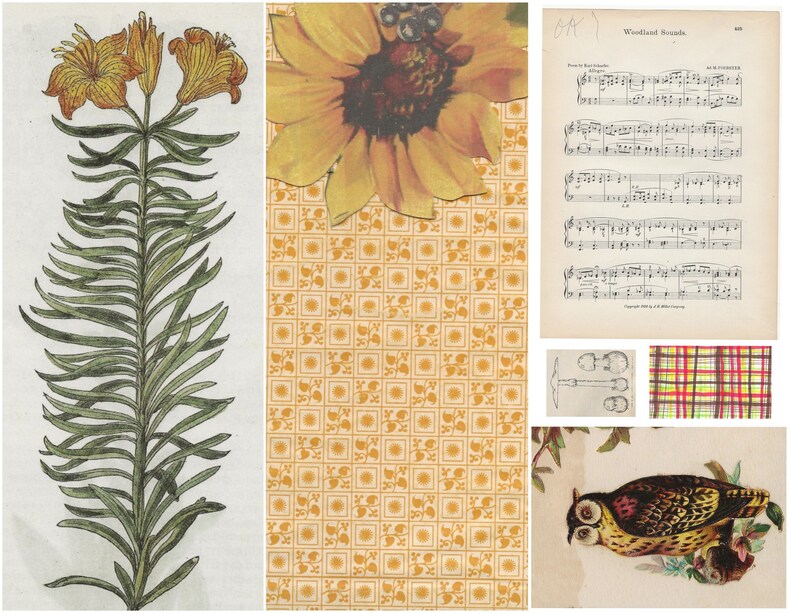 Peut inclure: Un collage d'images repr&eacute;sentant un tournesol jaune, une plante verte feuillue avec des fleurs jaunes, un tissu &agrave; motifs avec un design jaune et orange, une partition de musique intitul&eacute;e "Woodland Sounds", un tissu &agrave; carreaux avec des couleurs rouge, jaune et verte, et un dessin d'un hibou avec des plumes brunes, jaunes et noires.
