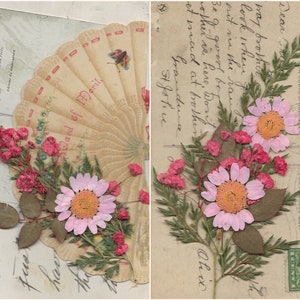 K&ouml;nnte beinhalten: Vintage-Postkarte mit einem Design aus gepressten Blumen. Die Postkarte zeigt eine rosa Blume mit gelber Mitte, umgeben von kleineren rosa Blumen und gr&uuml;nen Bl&auml;ttern. Der Text auf der Postkarte lautet "Luna quid. H. Me" und "ward of Merit".