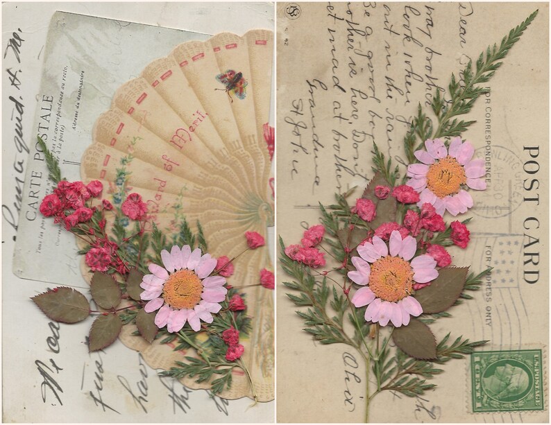 K&ouml;nnte beinhalten: Vintage-Postkarte mit einem Design aus gepressten Blumen. Die Postkarte zeigt eine rosa Blume mit gelber Mitte, umgeben von kleineren rosa Blumen und gr&uuml;nen Bl&auml;ttern. Der Text auf der Postkarte lautet "Luna quid. H. Me" und "ward of Merit".