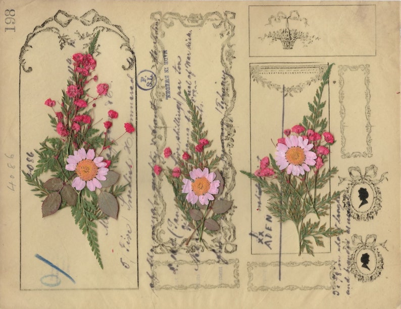 K&ouml;nnte beinhalten: Eine antike Postkarte mit gepressten Blumen. Die Blumen sind in drei Abschnitten angeordnet, jeder mit einer anderen Blumenart. Die Postkarte hat einen dekorativen Rand und der Text "MADE IN SWEDEN" ist auf der rechten Seite gedruckt.