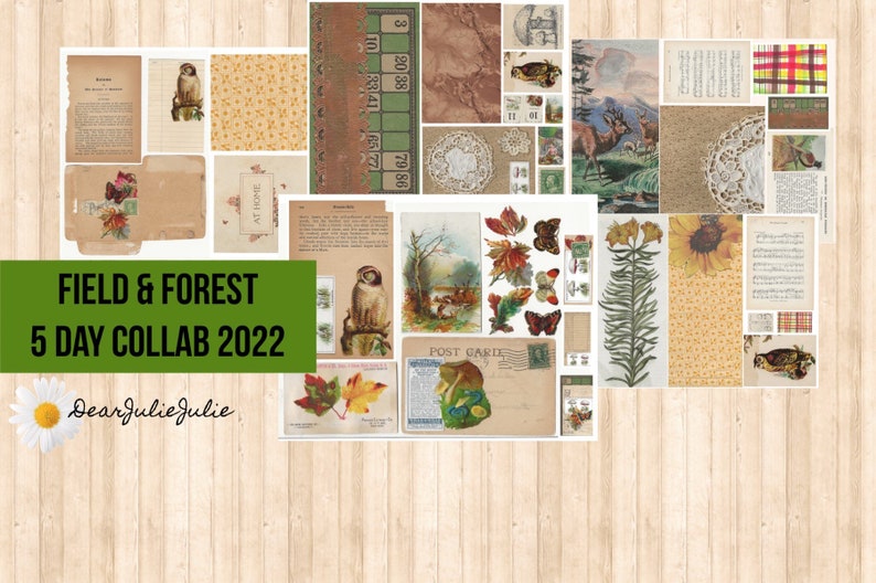 Peut inclure: Une collection de papiers de collage num&eacute;riques avec des images de hiboux, de papillons, de feuilles, de fleurs et d'autres &eacute;l&eacute;ments d'inspiration nature. Les papiers sont de style vintage et sont parfaits pour le scrapbooking, la fabrication de cartes et autres projets d'artisanat.