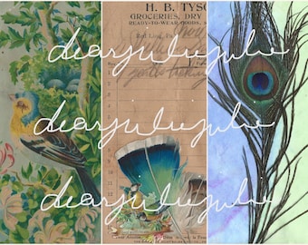 May include: A vintage collage featuring a bluebird perched on a branch, a peacock feather, and a faded receipt with the text "H. B. TYS GROCERIES, DRY READY-TO-WEAR GOODS, S Red Liou, Pa" and the word "dearjules" written multiple times.