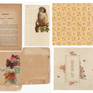 Peut inclure: Un collage d'&eacute;ph&eacute;m&egrave;res en papier vintage avec un hibou brun, un papillon et un motif floral. Le texte "Autumn, The Dreame of Manboob" et "At Home" est visible.