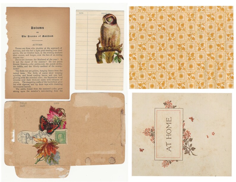 Peut inclure: Un collage d'&eacute;ph&eacute;m&egrave;res en papier vintage avec un hibou brun, un papillon et un motif floral. Le texte "Autumn, The Dreame of Manboob" et "At Home" est visible.