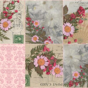 K&ouml;nnte beinhalten: Eine Collage aus Vintage-Postkarten mit gepressten Blumen. Die Postkarten zeigen ein rosafarbenes und wei&szlig;es Blumenmuster, eine handschriftliche Nachricht und eine Briefmarke. Die Blumen sind gepresst und getrocknet und in einem sch&ouml;nen Muster angeordnet.