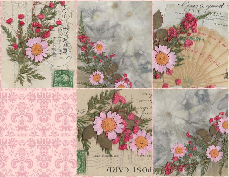 K&ouml;nnte beinhalten: Eine Collage aus Vintage-Postkarten mit gepressten Blumen. Die Postkarten zeigen ein rosafarbenes und wei&szlig;es Blumenmuster, eine handschriftliche Nachricht und eine Briefmarke. Die Blumen sind gepresst und getrocknet und in einem sch&ouml;nen Muster angeordnet.