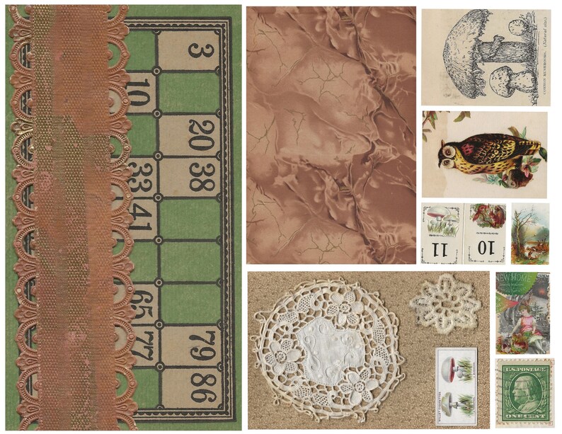 Peut inclure: Un collage d'images vintage comprenant un plateau de jeu vert et marron avec des num&eacute;ros, un papier marbr&eacute; brun, une dentelle blanche, une illustration de champignon, une illustration de hibou et un timbre-poste avec le portrait d'une femme.
