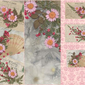 K&ouml;nnte beinhalten: Eine Collage aus Vintage-Postkarten mit gepressten Blumen und einem F&auml;cher. Die Postkarten haben ein rosafarbenes und wei&szlig;es Blumenmuster und die Blumen sind rosa und wei&szlig;.