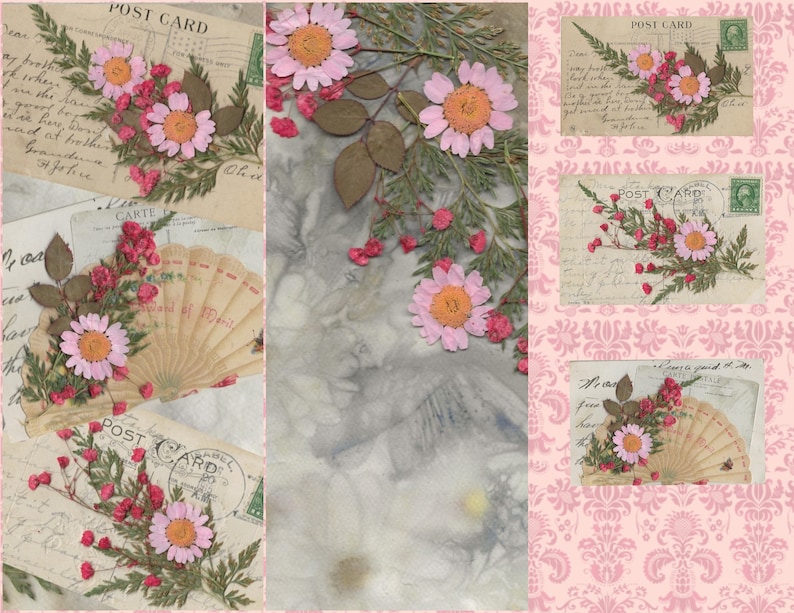K&ouml;nnte beinhalten: Eine Collage aus Vintage-Postkarten mit gepressten Blumen und einem F&auml;cher. Die Postkarten haben ein rosafarbenes und wei&szlig;es Blumenmuster und die Blumen sind rosa und wei&szlig;.