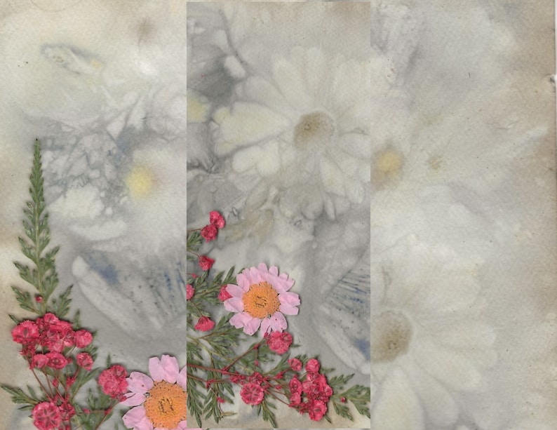 K&ouml;nnte beinhalten: Ein hellgrauer Hintergrund mit einem Aquarelleffekt.  Rosa und rote gepresste Blumen sind in der linken unteren Ecke des Bildes angeordnet.  Die Blumen sind in einem lockeren, organischen Muster angeordnet.