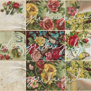 Digital - ANTIQUE Red RosesPages de journal des oiseaux jaunes & kit numérique éphémère...  Belles images antiques améliorées