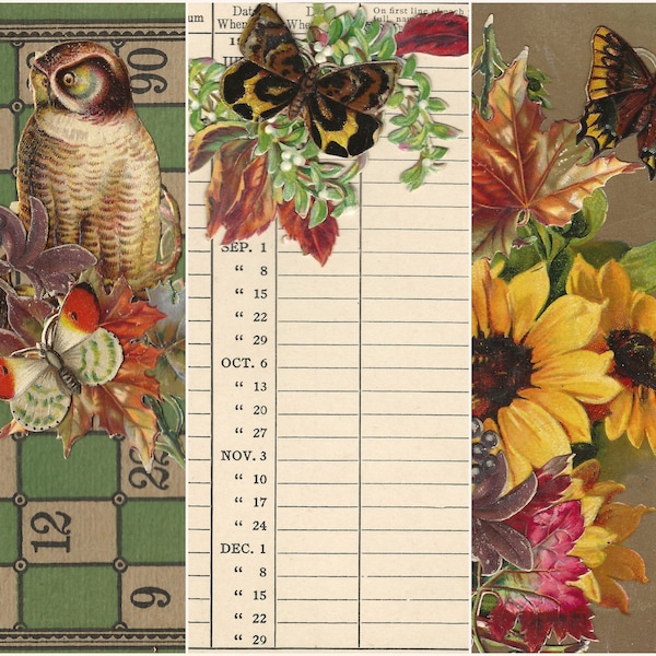 Digital - Fall Autumn Flora and Fauna pages and ephemera digital journal (65 files of pages & ephemera), junk journal, diary