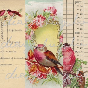 Numérique - Pages du journal Pink Birds et kit numérique éphémère. Belles images antiques améliorées journal indésirable Journal