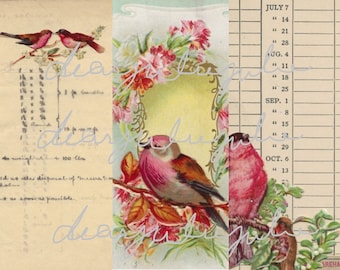 Digital - Pink Birds journal pages & ephemera digital kit. Beautiful Enhanced Antique images junk Journal diary