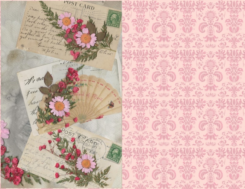 K&ouml;nnte beinhalten: Vintage-Postkarten mit handgeschriebenen Nachrichten und gepressten Blumen. Die Postkarten sind mit getrockneten Blumen und Bl&auml;ttern verziert, darunter rosa und wei&szlig;e G&auml;nsebl&uuml;mchen, gr&uuml;ne Bl&auml;tter und kleine rote Beeren. Die Postkarten liegen auf einer Marmorfl&auml;che.